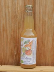 Bio Apfel-Zitrone-Ingwer Saft 33cl